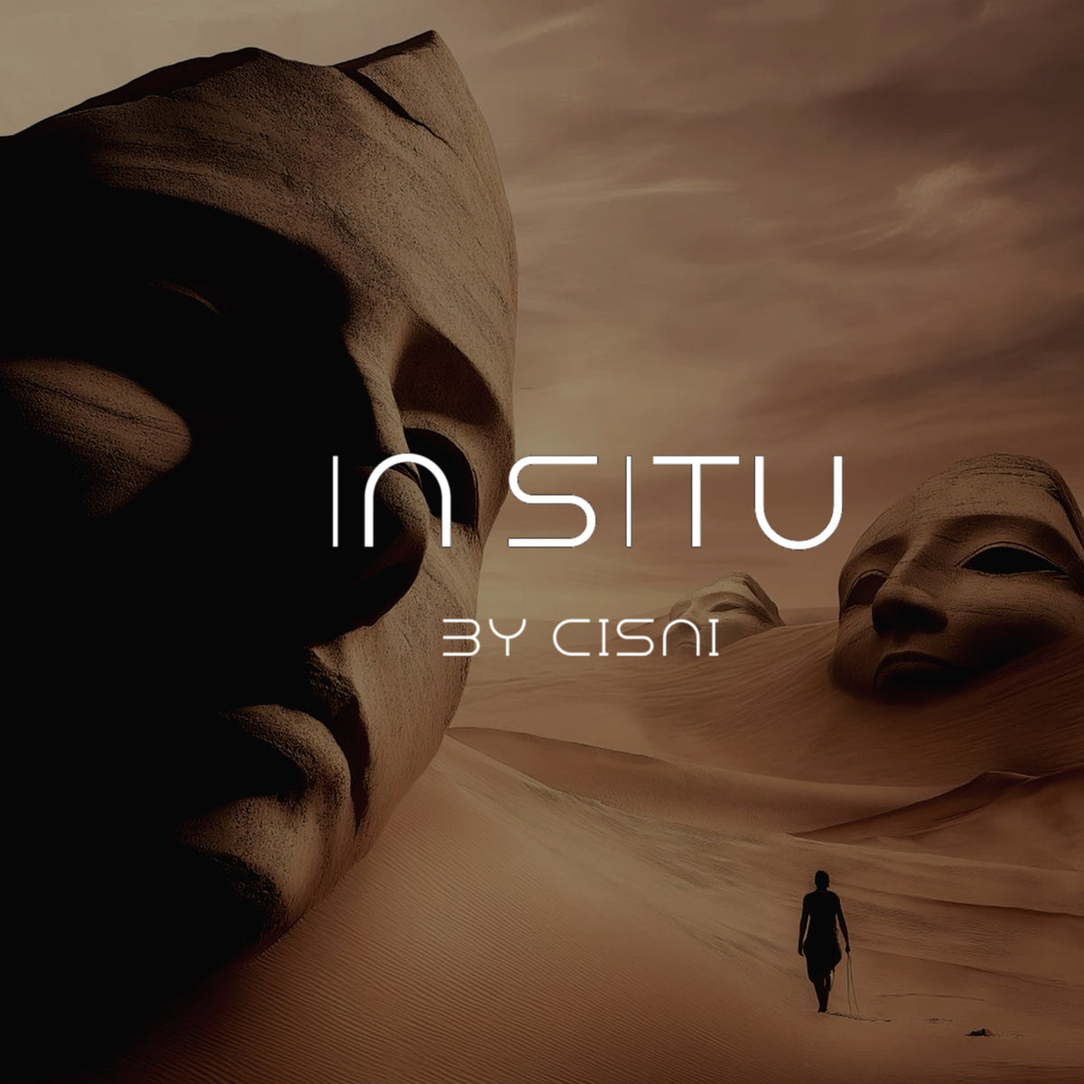 In Situ by Cisni